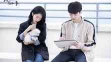 国产高清论理视频,探索人生智慧与生活哲理的视觉盛宴